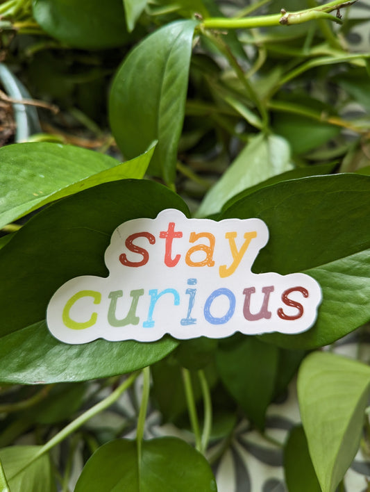 Stay Curious Sticker