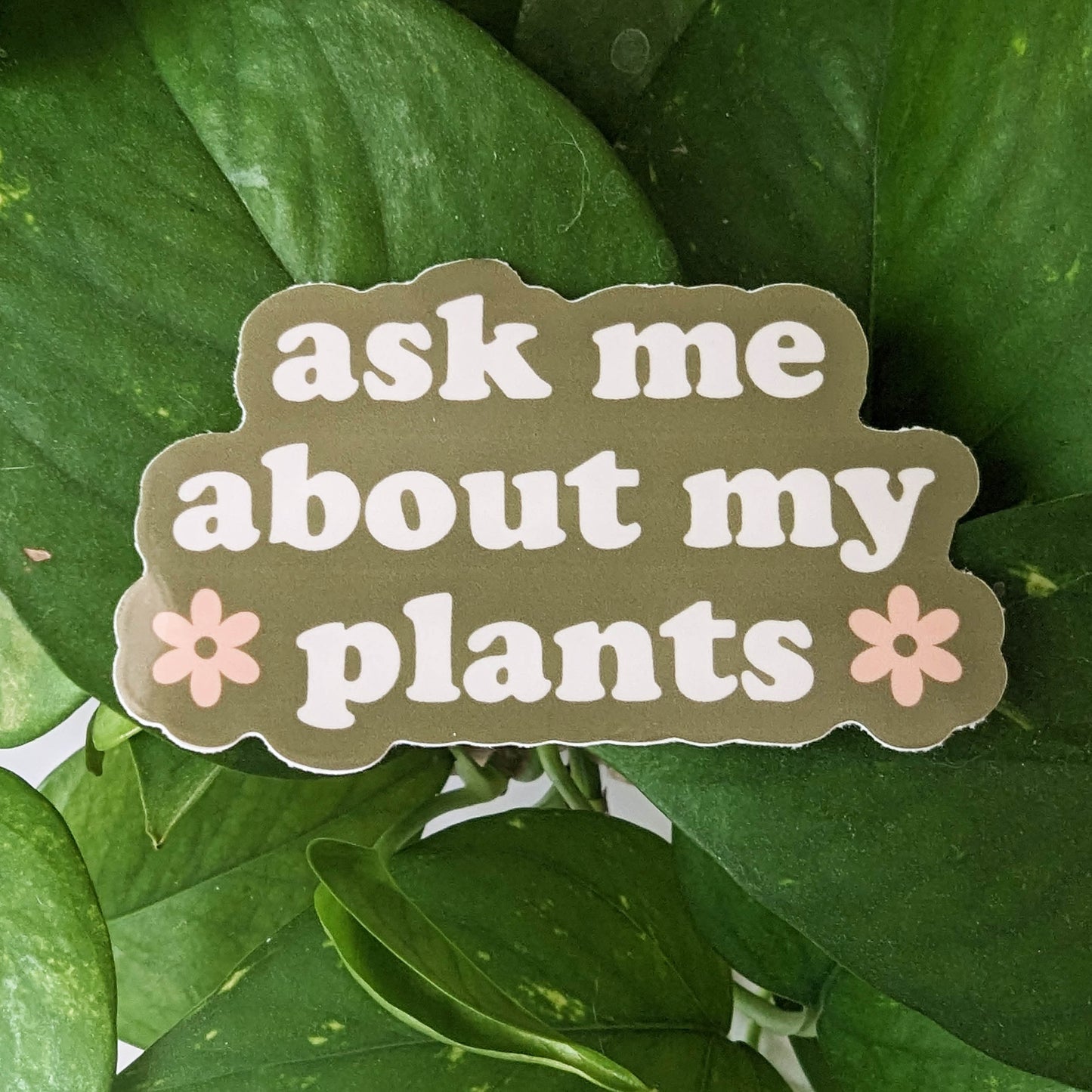 Ask Me About My Plants Sticker