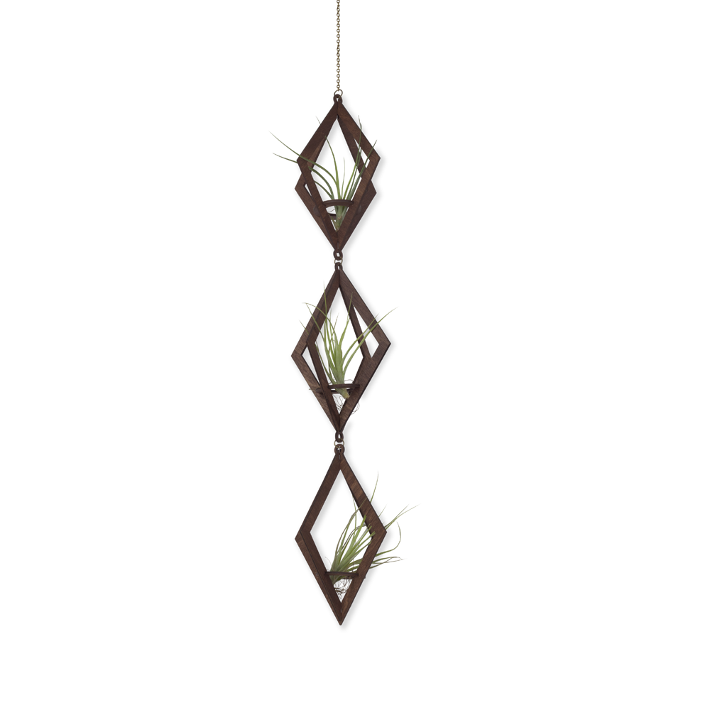 air plant hanger trio >> diamond >> walnut