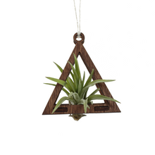 air plant ornament >> triangle >> walnut