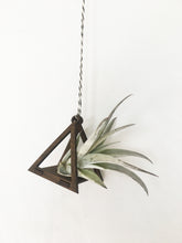 air plant ornament >> triangle >> walnut
