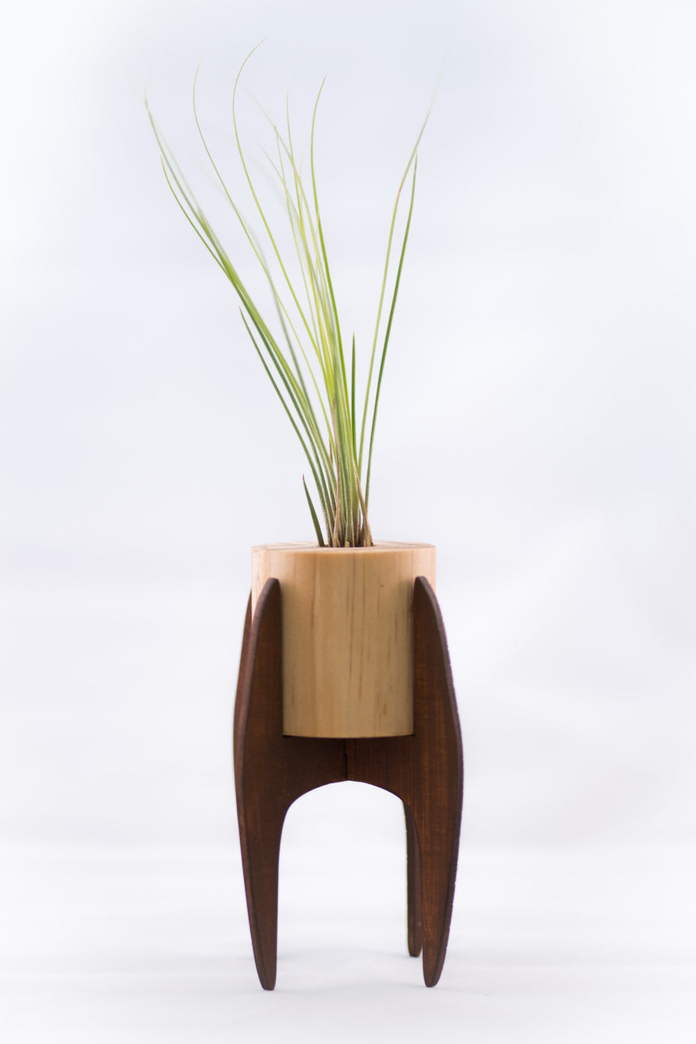 mini plant stand >> mid century >> air plant included