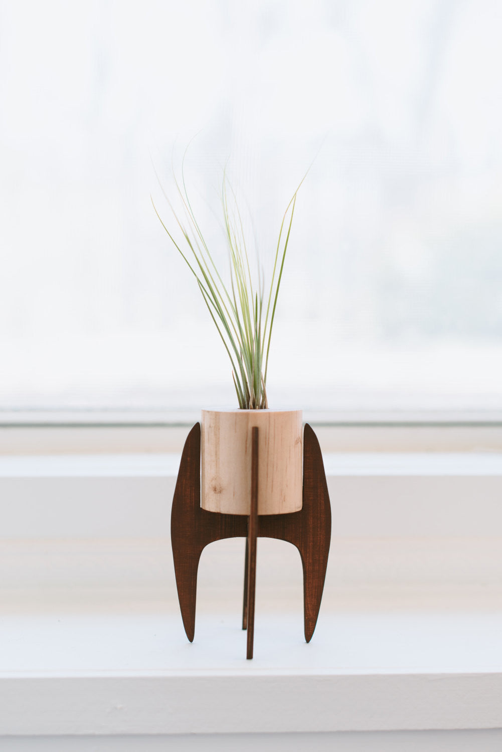 mini plant stand >> mid century >> air plant included